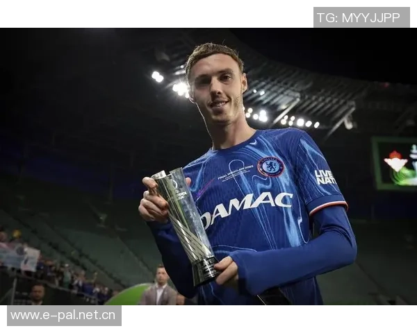 切尔西伤病情况更新九人缺阵帕尔默等六人预计下轮复出